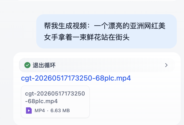 图30:视频助手